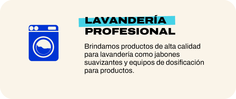 Lavandería profesional