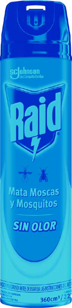 Raid